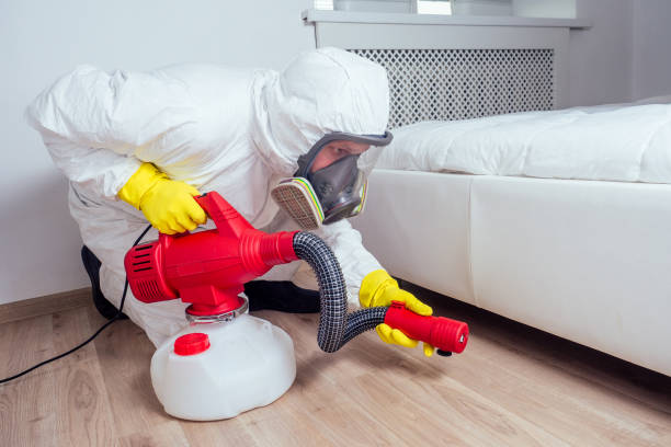 Best Pest Prevention Services  in Yorktown, TX